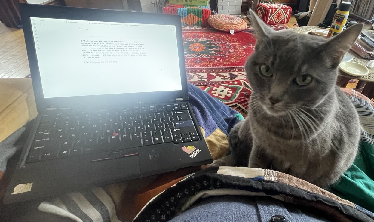 Devil cat on a lap with a linux laptop
