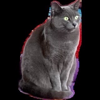 crappy cutout of a grey cat named Frankenstein Minidisc